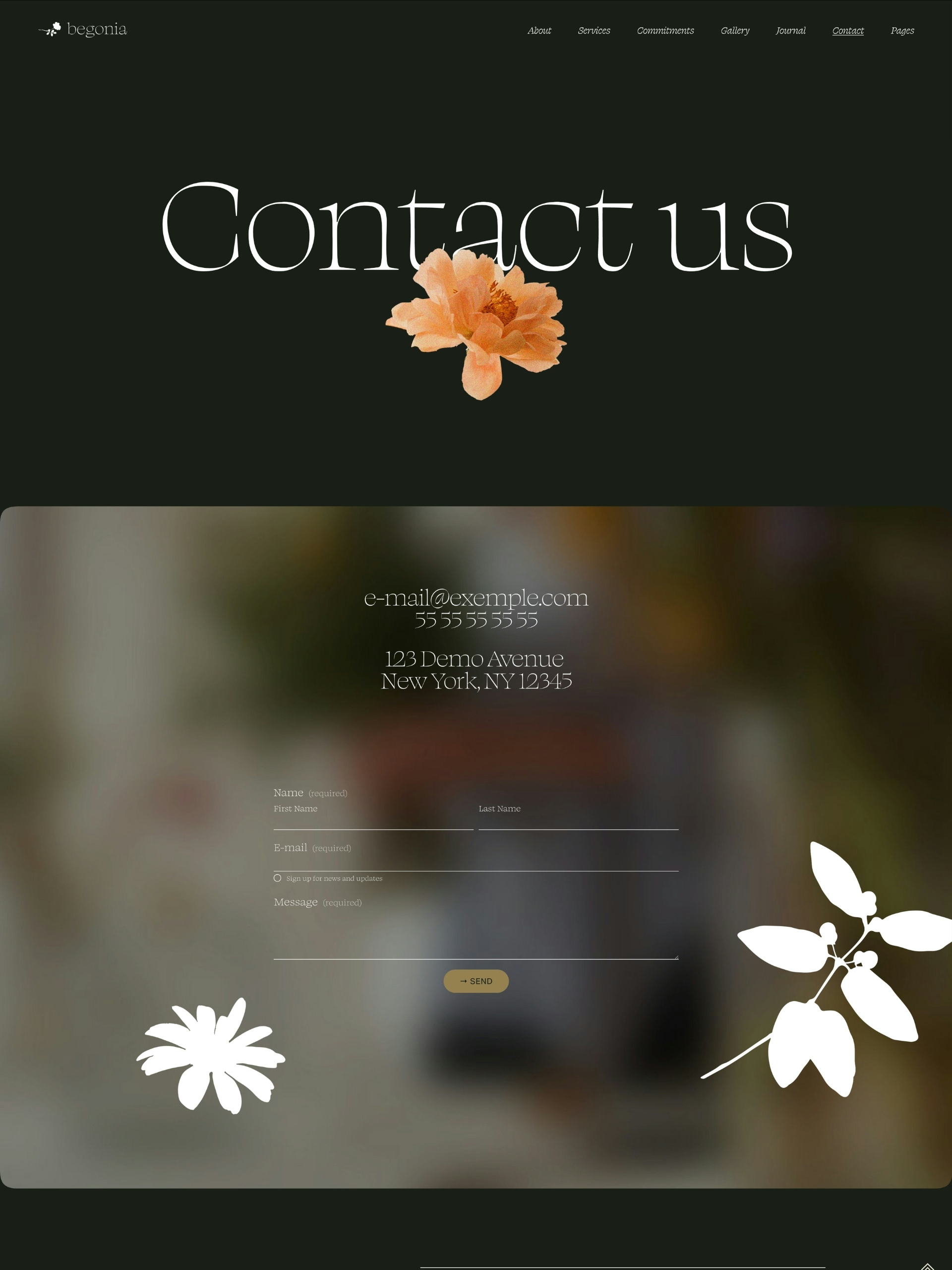 Begonia - Contact Screenshot