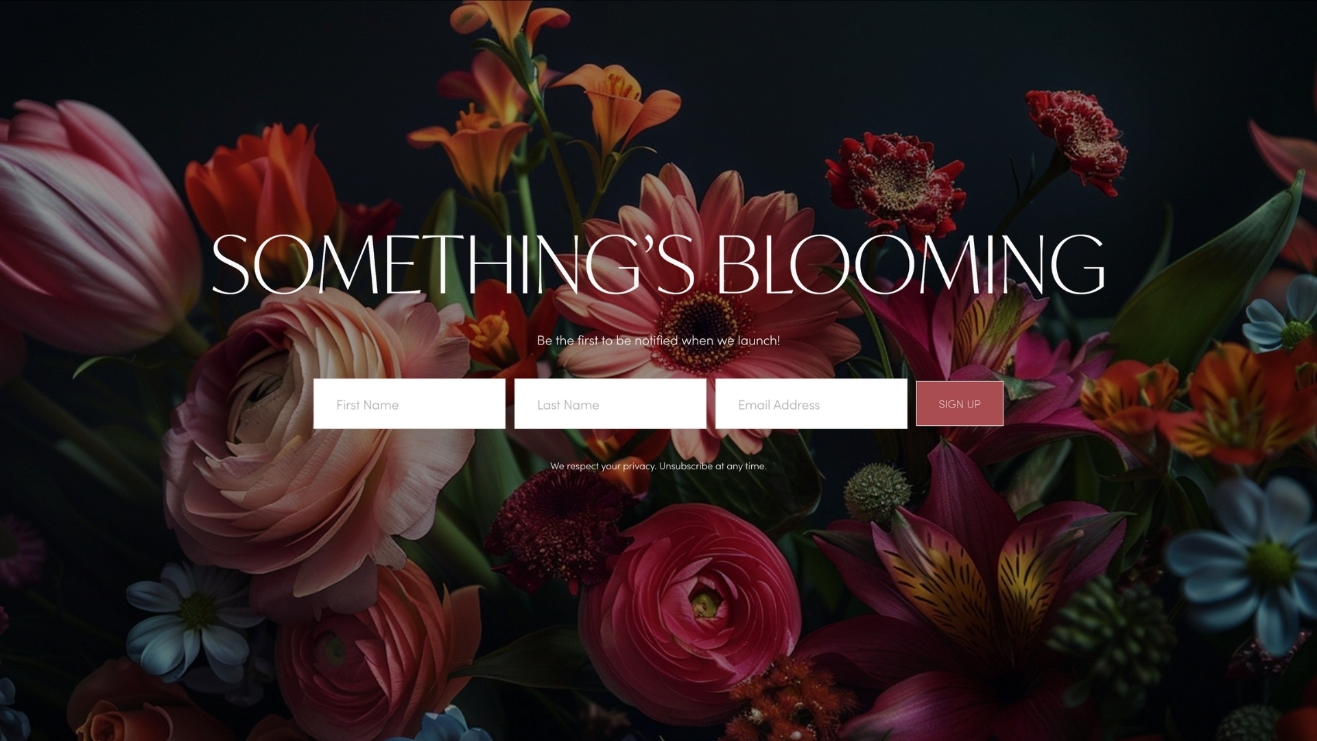 Blossom - Coming Soon Screenshot