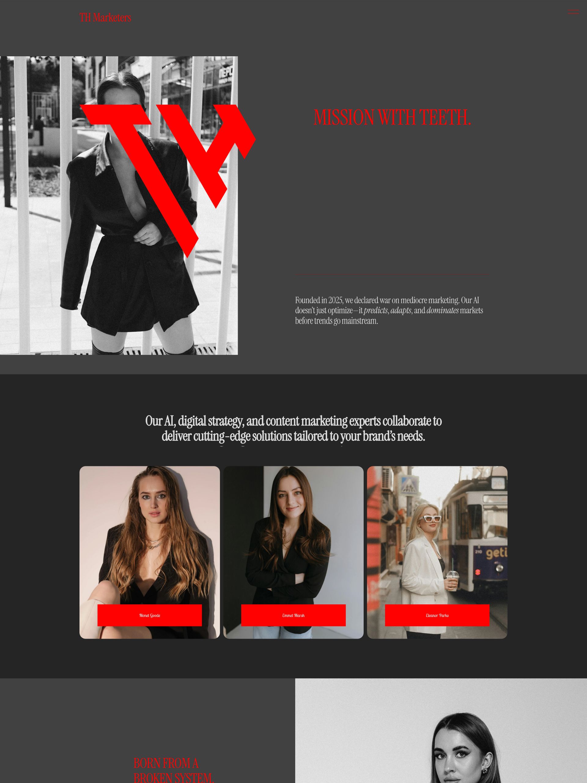 TH' Marketers - About Us Screenshot