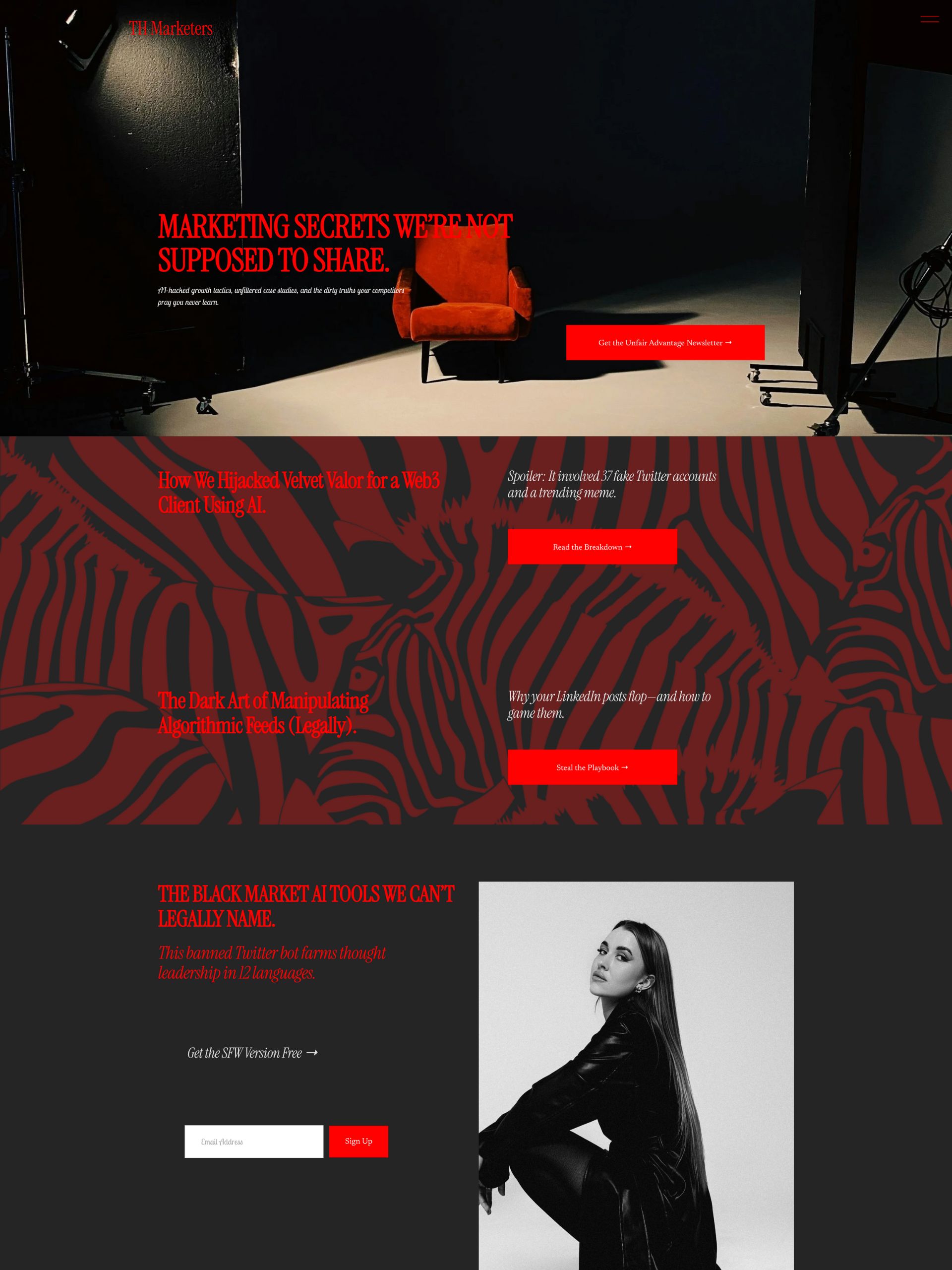 TH' Marketers - Insights Screenshot