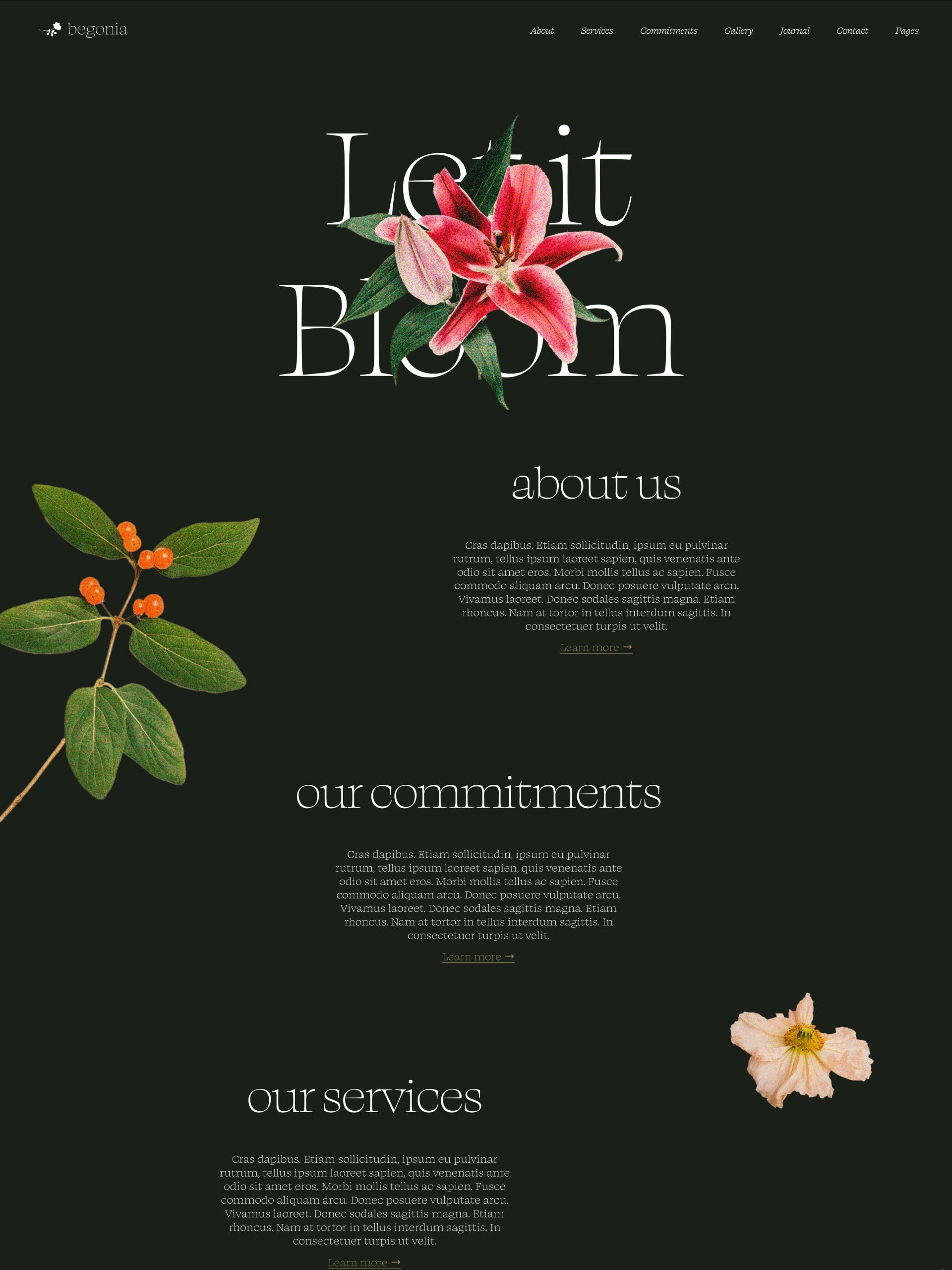 Begonia - Home J1 Fq Romh8 W Hs Pxb36n Vw Eg3qp L4o Fv Screenshot