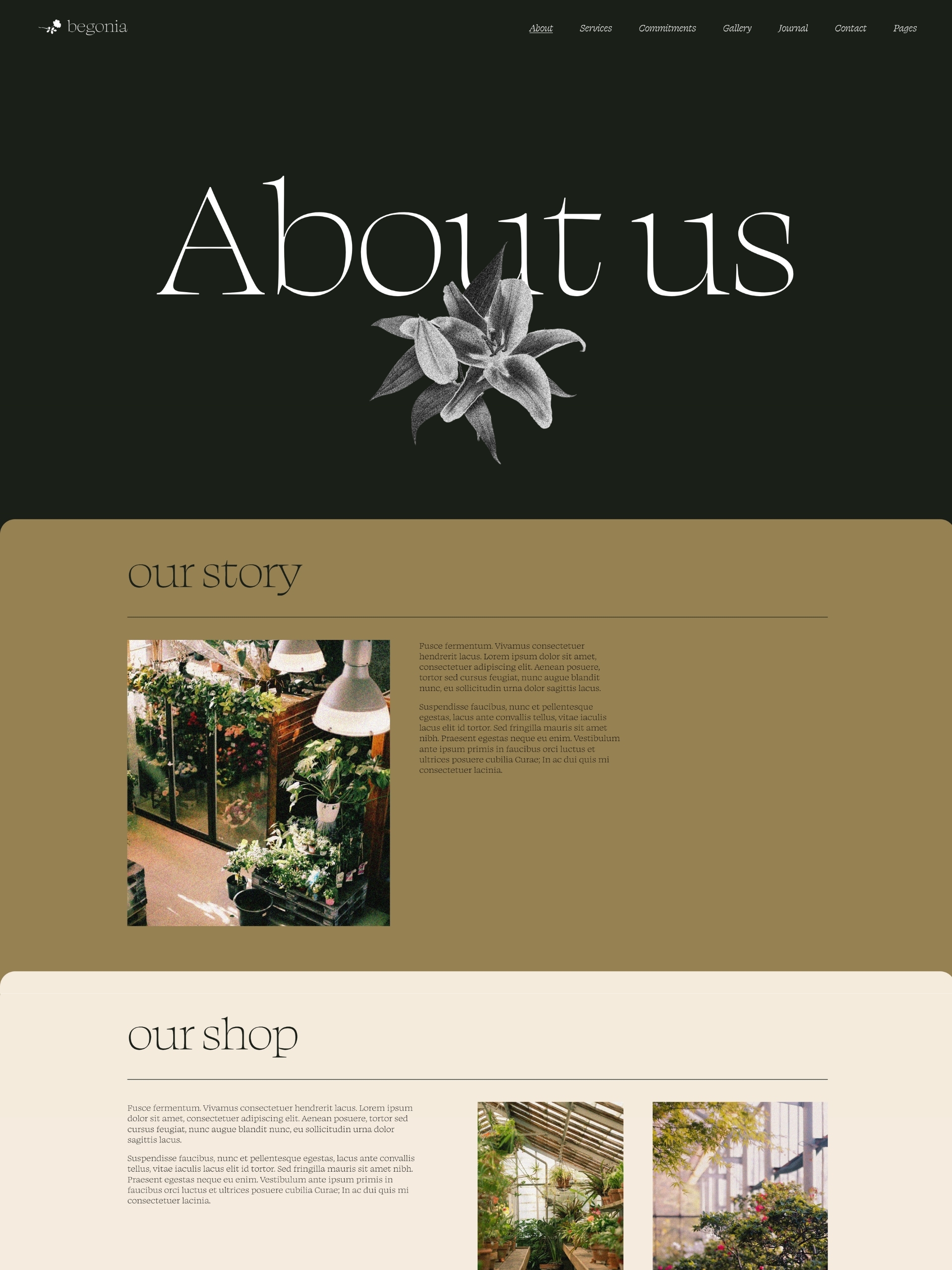 Begonia - About 1 B Trxvy Tb Jp Id2r D Nw Ic Tza3t1 L9l F Screenshot