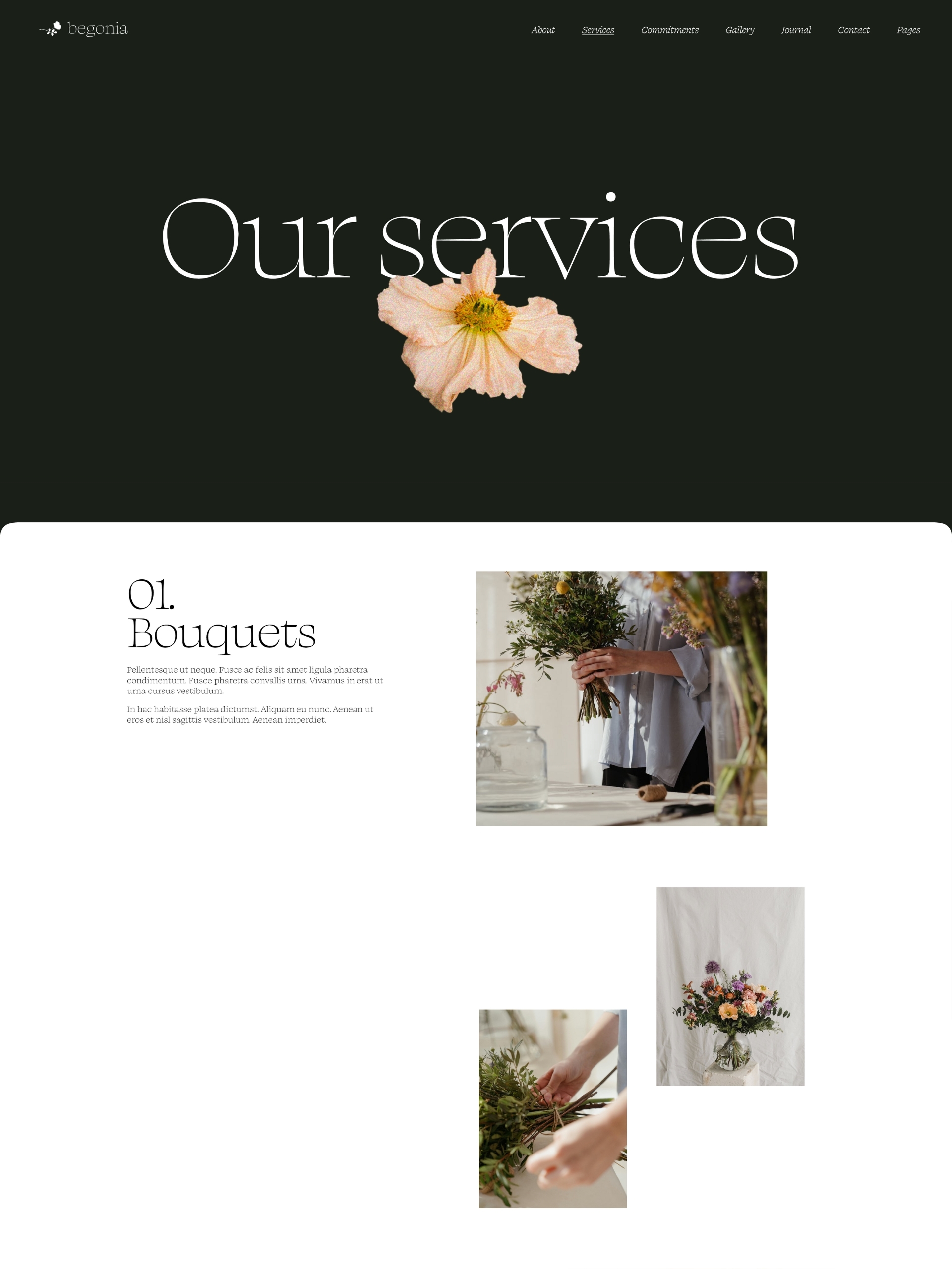 Begonia - Services Ele X Pq7 Pp5 Lv Q2oawmx Pwz Mh Qh1 O Sy Screenshot