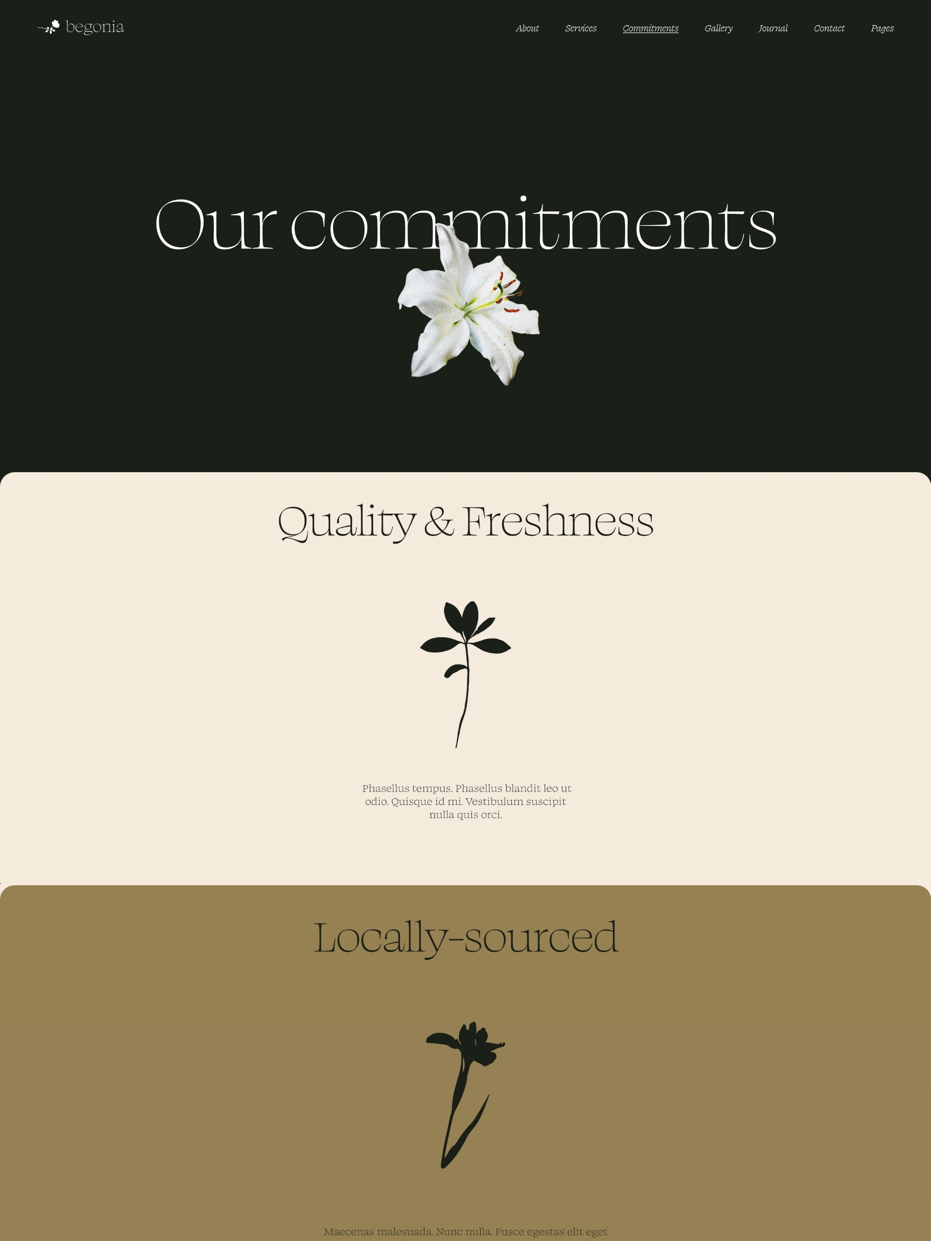 Begonia - Commitments Zg1uu P Gsn I Gh1hf Vx Mj0 D181f Cx2 Bu Screenshot