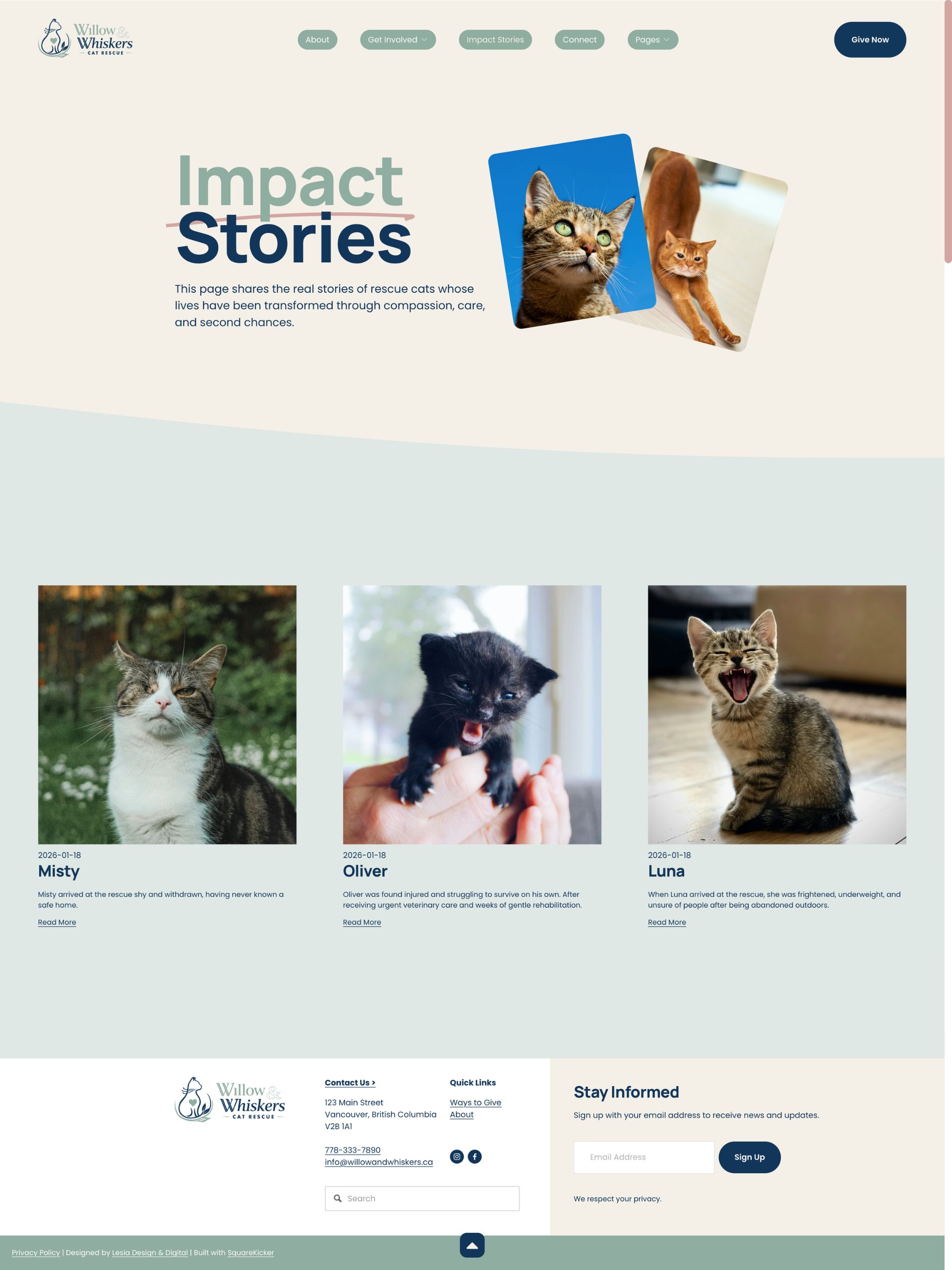 Willow Whiskers - Stories Screenshot