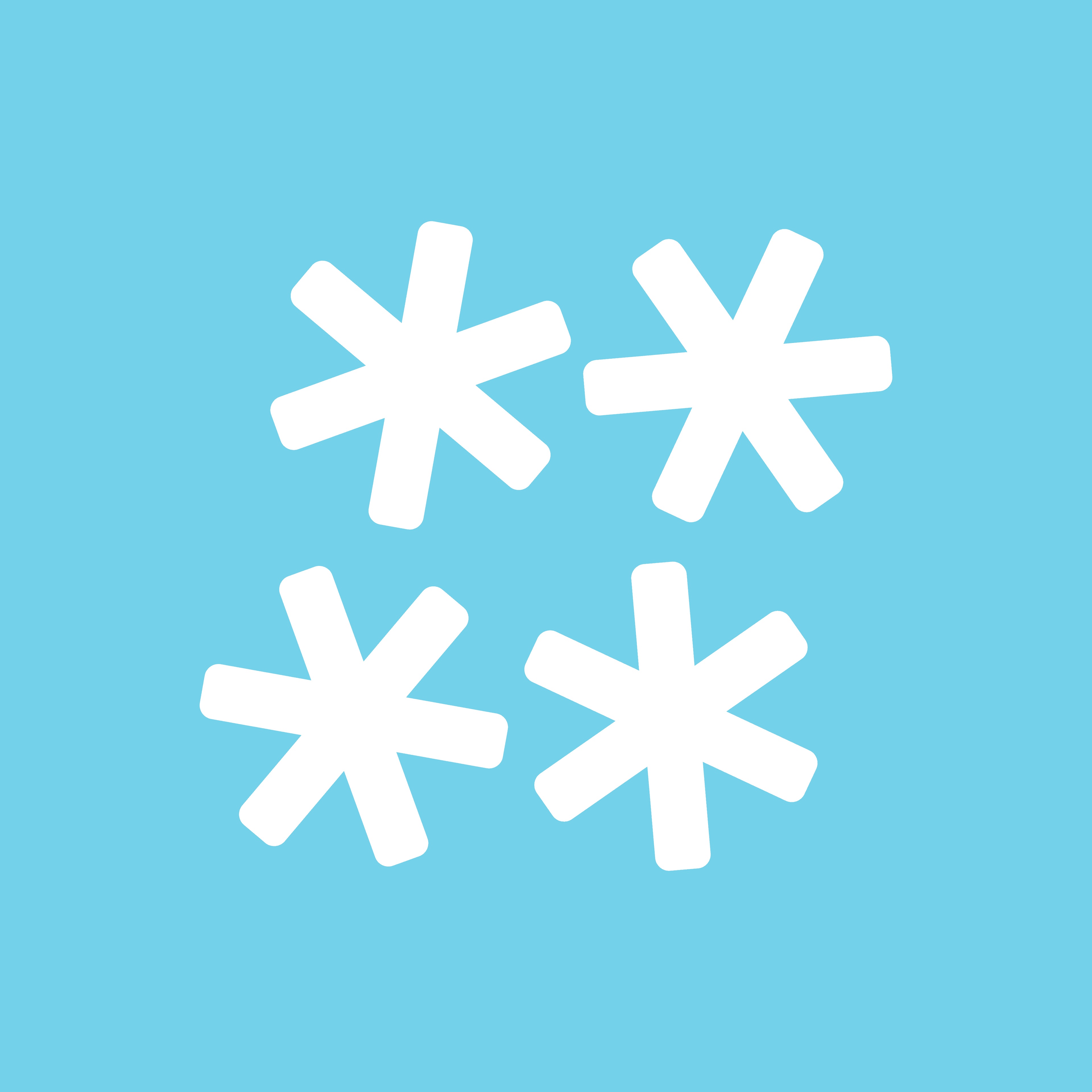 Snowday Design - Logo